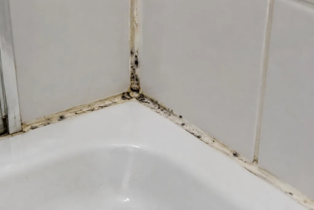 Kitbedrijf Voorburg – beschimmelde kitranden